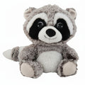 Remy Racoon